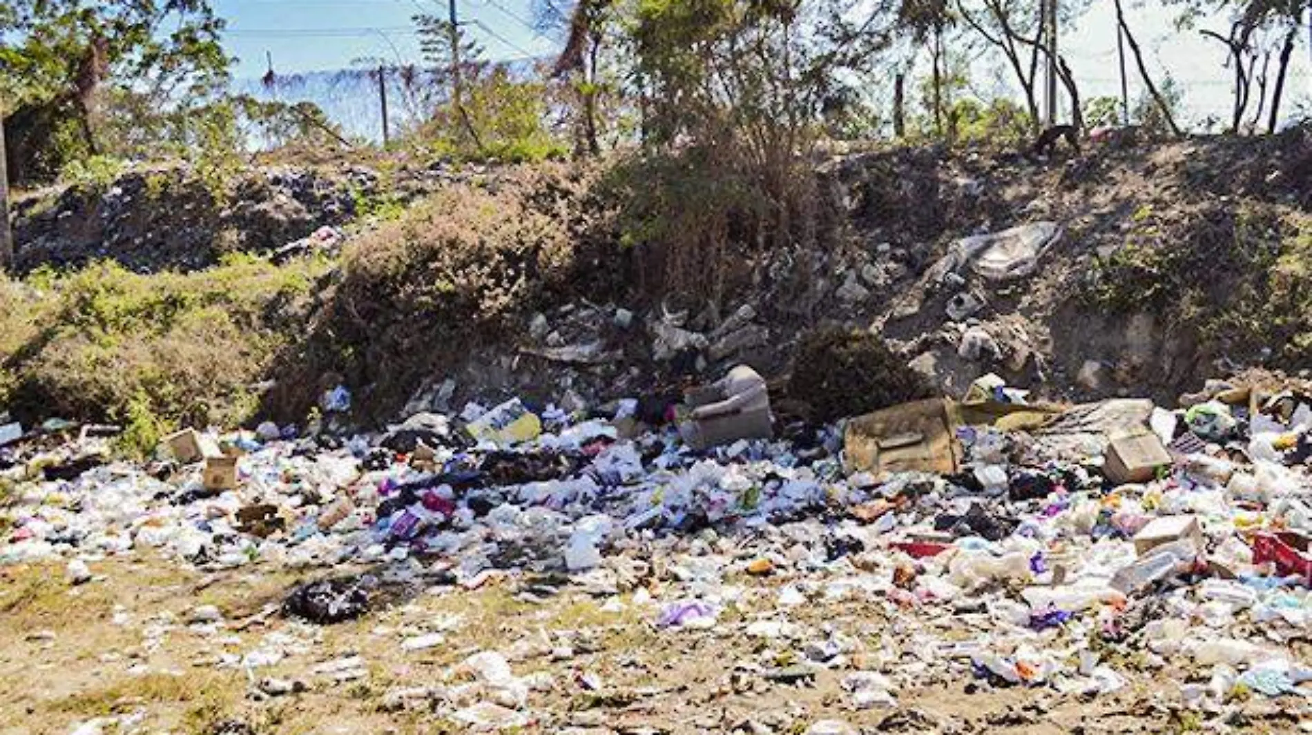 Basura en la zona diamante de Acapulco